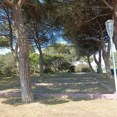 Lara 3 - T2 Loggia Piscine 2 Lits Doubles Parking Pres Du Centre-Port Et Ile Loisirs Appartement Agde Buitenkant foto