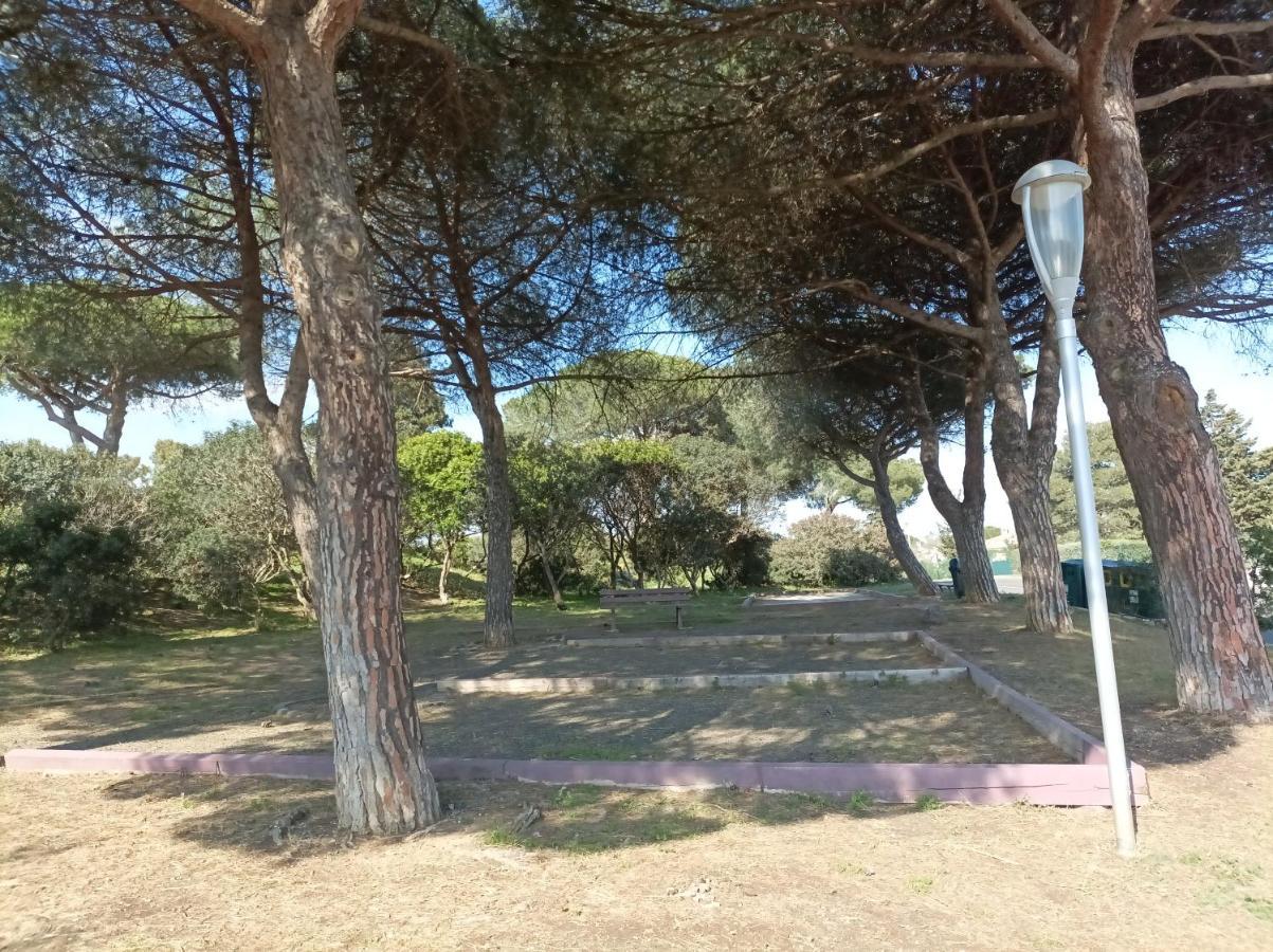 Lara 3 - T2 Loggia Piscine 2 Lits Doubles Parking Pres Du Centre-Port Et Ile Loisirs Appartement Agde Buitenkant foto